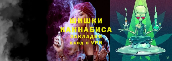 прущие грибы Покачи