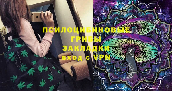 прущие грибы Покачи
