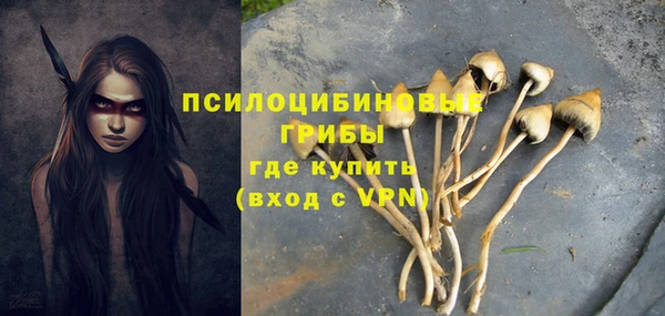ГАЛЛЮЦИНОГЕННЫЕ ГРИБЫ Покров