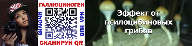 MEGA как войти  закладка  Гусиноозёрск  Галлюциногенные грибы прущие грибы 